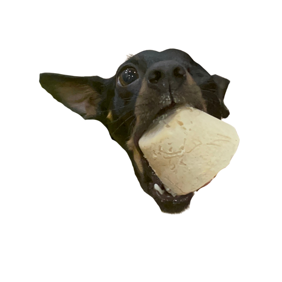 Pupscicle