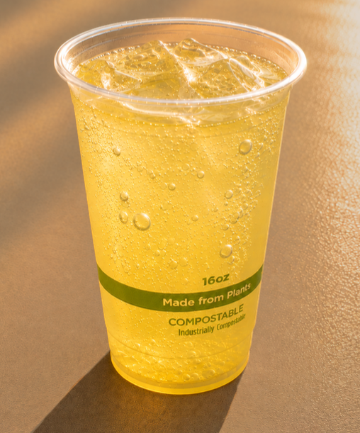 Pineapple Shrub Soda