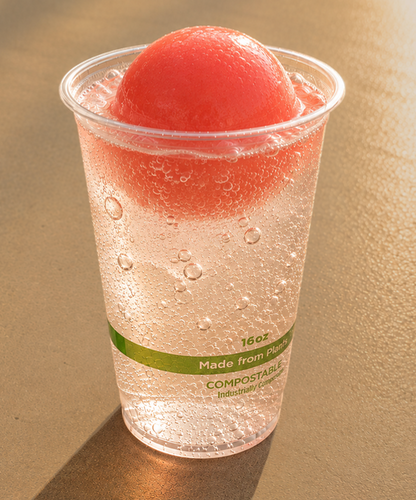 Sorbet Float