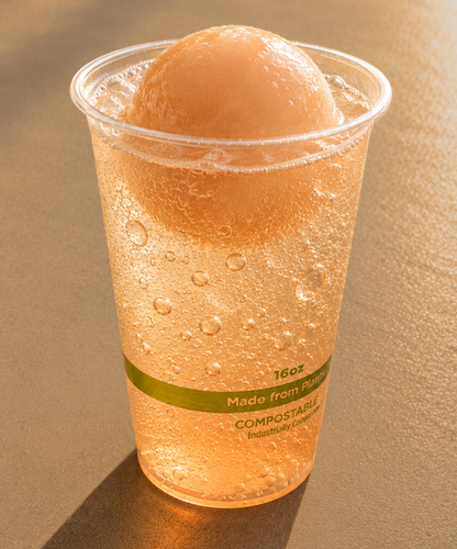 Sorbet Float